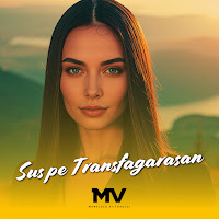 Manelele Viitorului - Sus Pe Transfagarasan mp3 скачать